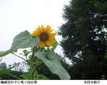 f026c064.jpg