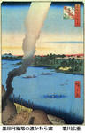 3119b328.JPG