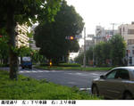 3c06a474.jpg