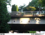 da59f144.jpg