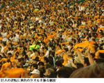 b7861218.jpg