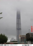 ee68d948.jpg