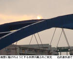 cca905ae.jpg