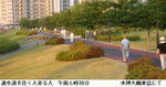 11f23a08.jpg