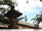 c92215c4.jpg