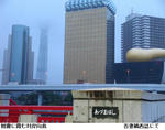 42a60249.jpg