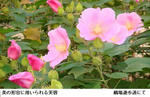 97db6333.jpg