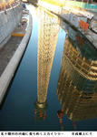 f1b0571e.jpg