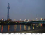 352937d1.jpg