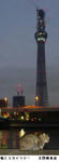 2cd0ab45.jpg