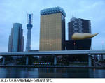 1d89c246.jpg