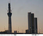 8f9a078b.jpg