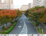 6590f74d.jpg