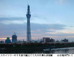 2c020662.jpg