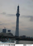 b06411c7.jpg