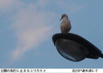 bb8f0503.jpg