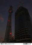 3ffc8098.jpg