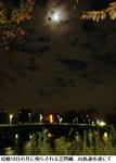 61a092a3.jpg