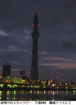 6aff8368.jpg
