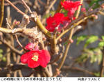 2cd7657d.jpg