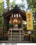 dffd4f86.jpg