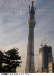 63ca2f60.jpg