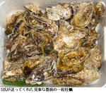 473cd707.jpg
