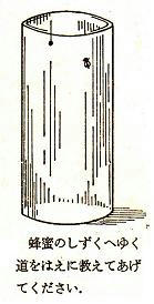 b55d3f52.JPG