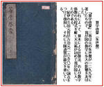 0c81e824.JPG