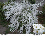 855c26b7.jpg