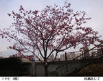 e791b9b7.jpg