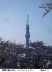 ec2a6d44.jpg