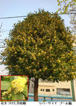 758eb48f.jpg