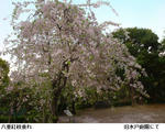 04ed889a.jpg