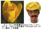 cb8faf00.JPG