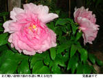 f6898630.jpg