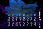 e8455950.JPG