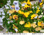 621ea232.jpg