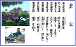 c8a1f773.JPG