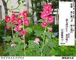 69d4a030.jpg