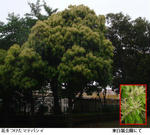 9f5027d4.jpg