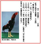 6043993f.JPG