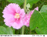 68625bf9.jpg