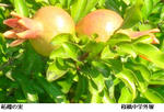 e4e59512.jpg