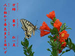 ccbb3873.JPG