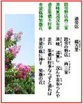 187d6b48.JPG