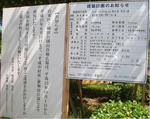 d04857d2.jpg
