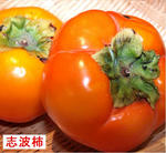 168a870b.JPG