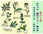 6d4c9590.JPG