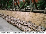 07d97b1e.JPG